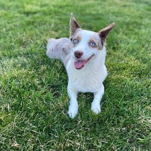 Meet your Posher, Jamie